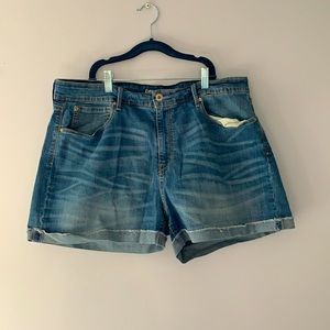 Plus Size High Waisted Jean Shorts
